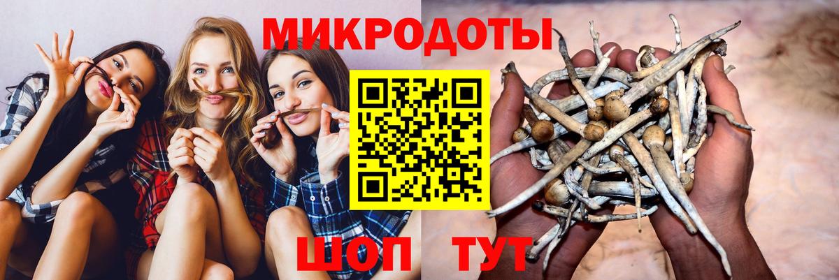 Галлюциногенные грибы ЛСД  Вход с VPN  Кириши  Галлюциногенные грибы ЛСД 